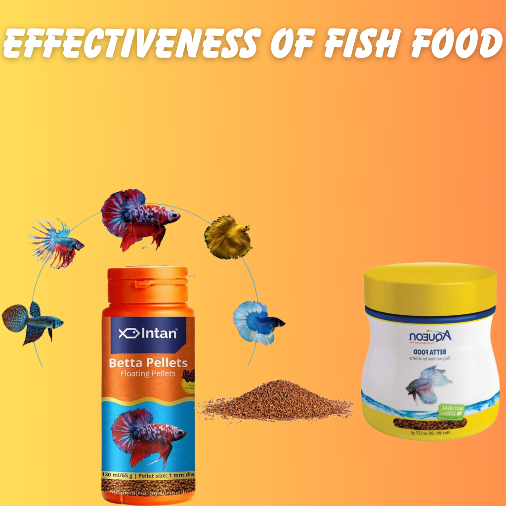 fish food