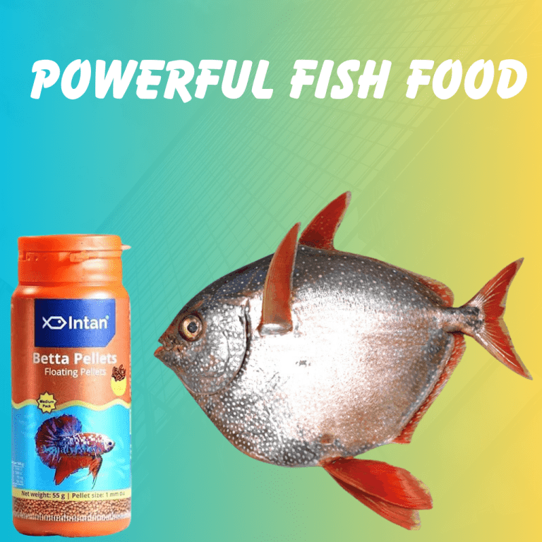 fish food